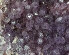 Purple Amethyst Cluster - Turkey #55359-1